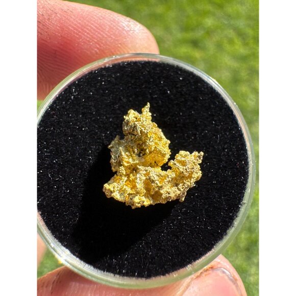 California Native Gold Crystal - 0.97 grams - Picture 2 of 7